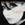 Single-Cover 7