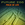 Single-Cover 6